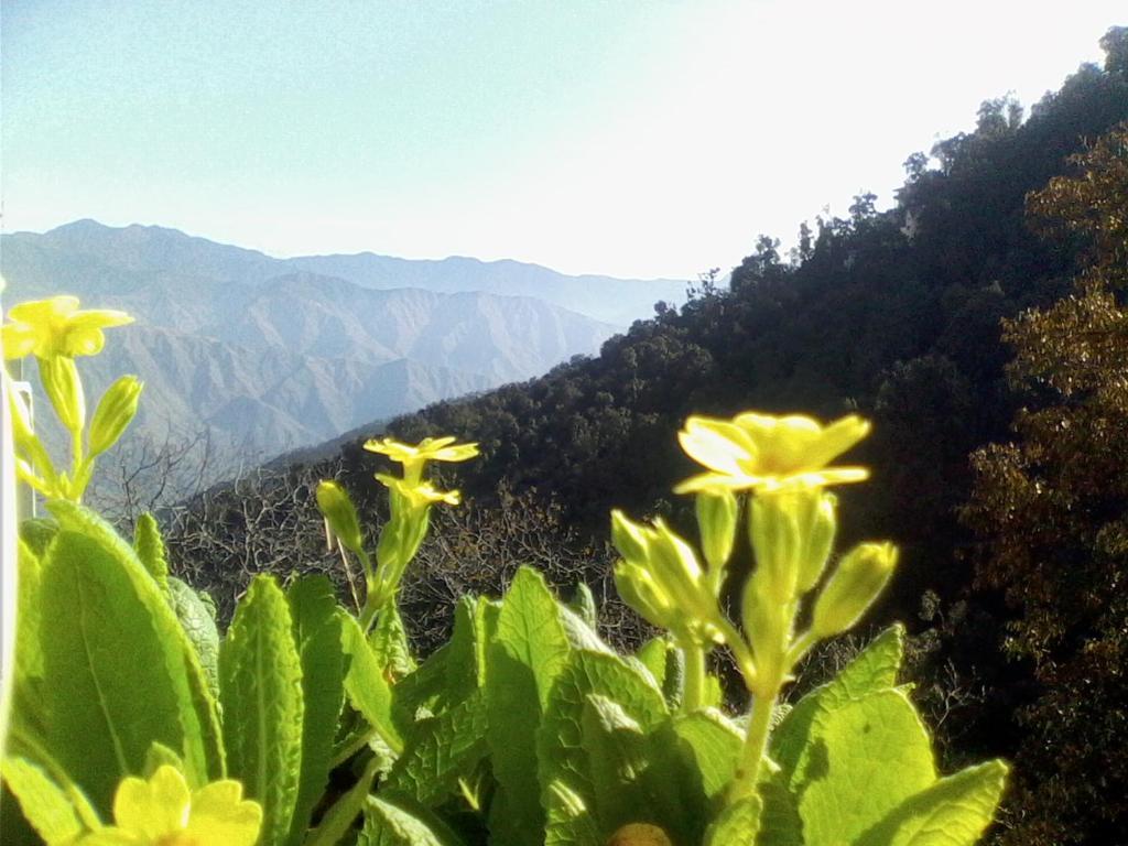 Ilbert Manor Hotell Mussoorie Eksteriør bilde